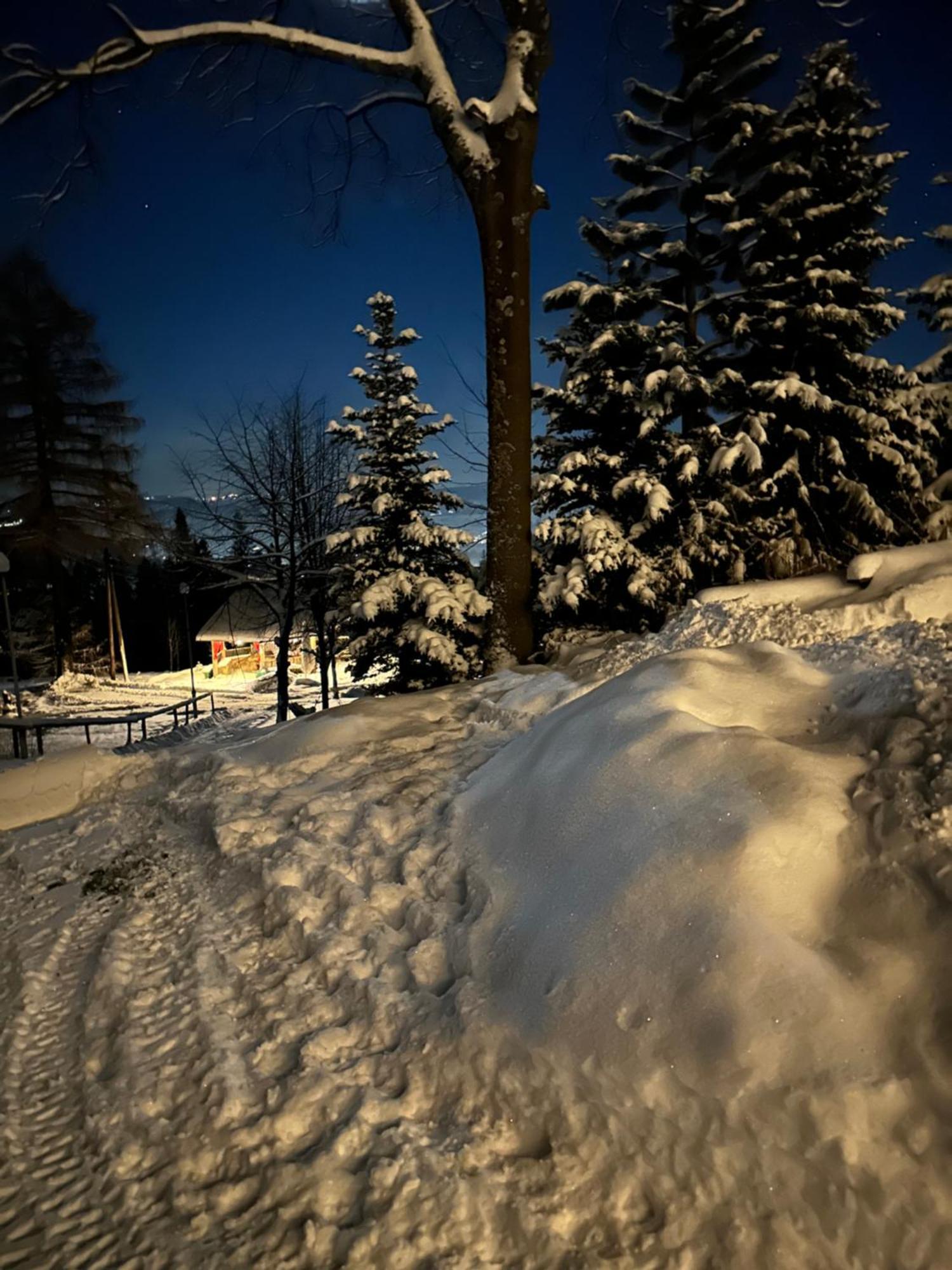Mala Bawaria Hotel Zakopane Eksteriør billede