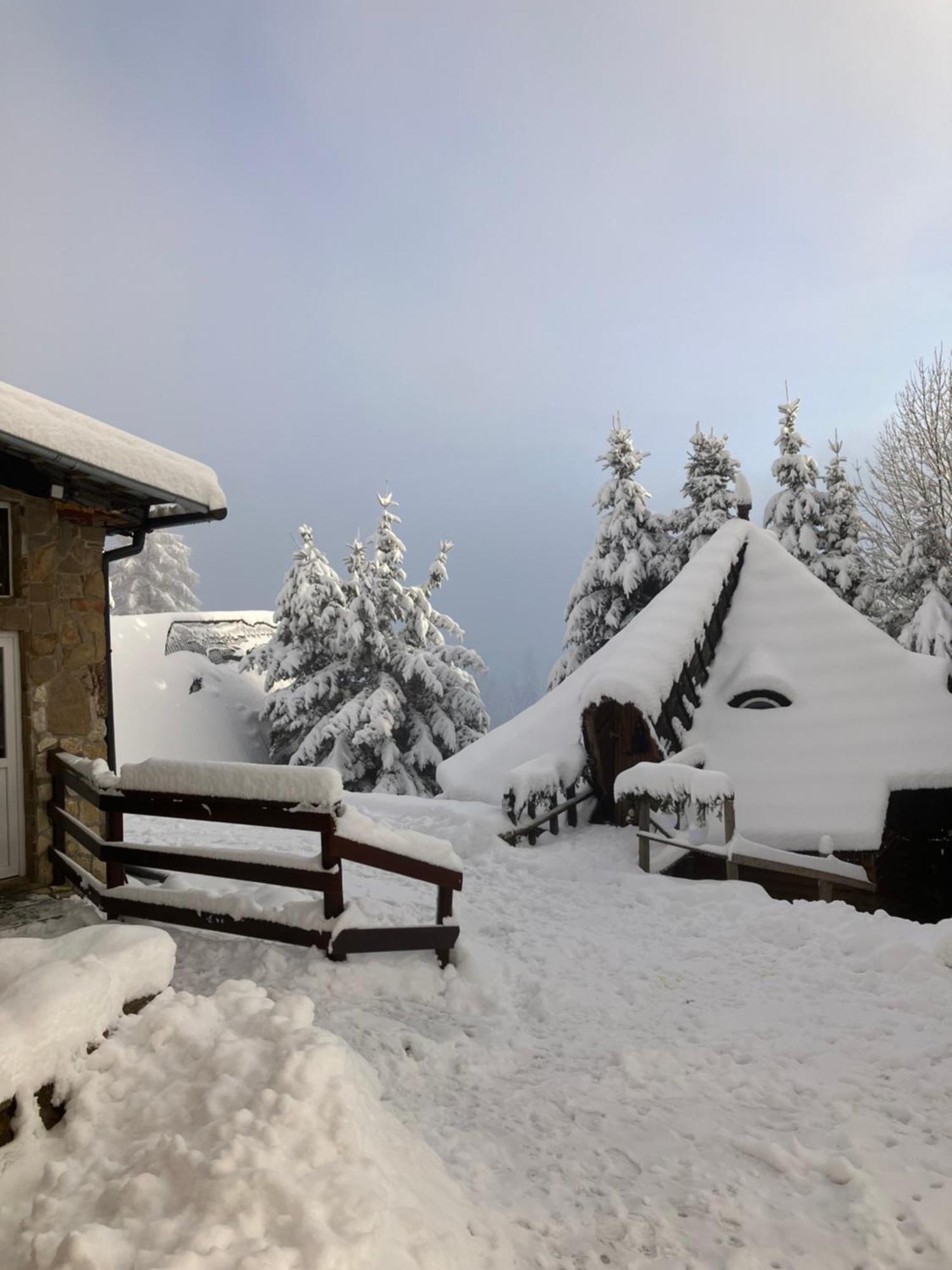 Mala Bawaria Hotel Zakopane Eksteriør billede