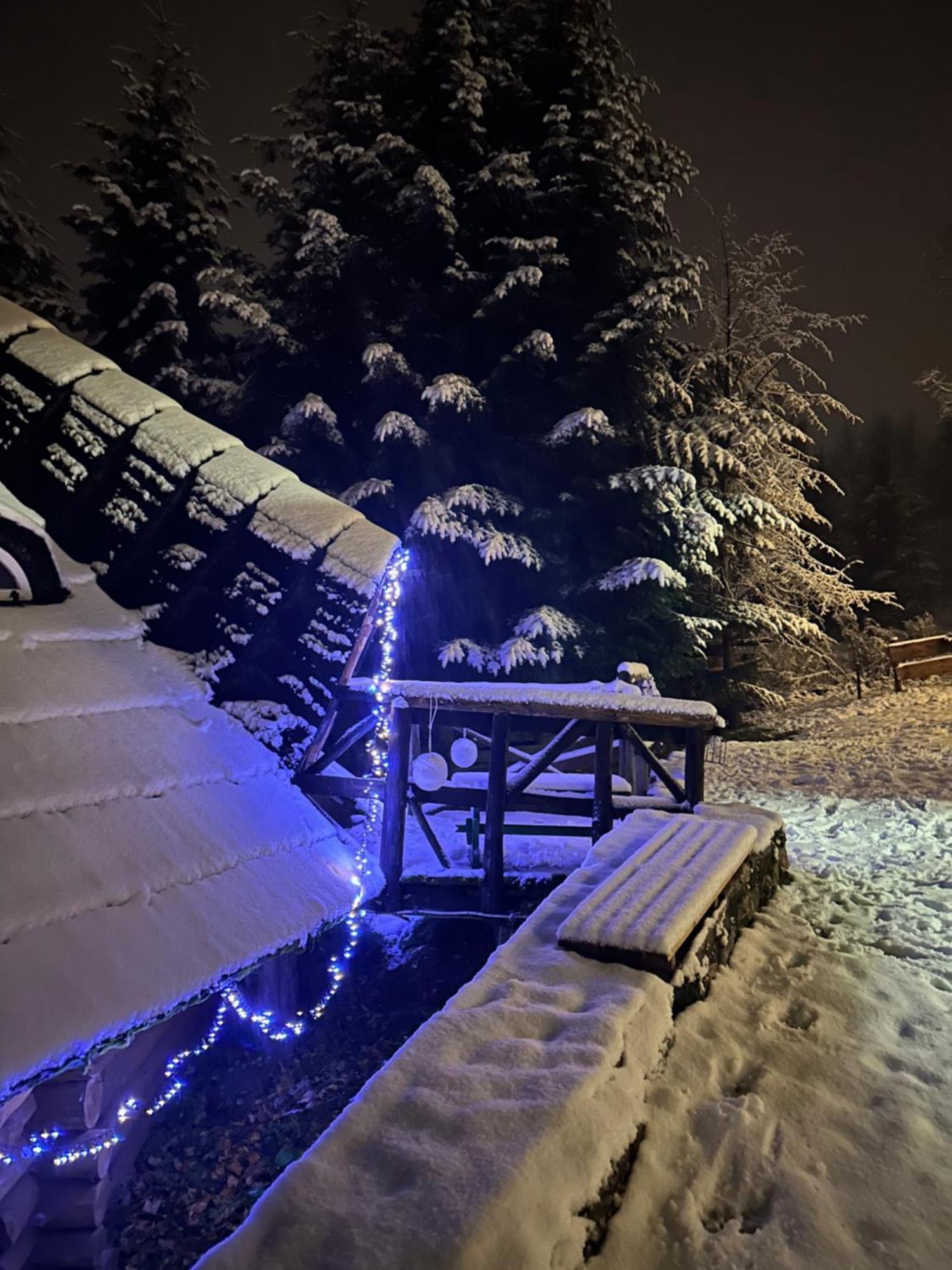 Mala Bawaria Hotel Zakopane Eksteriør billede