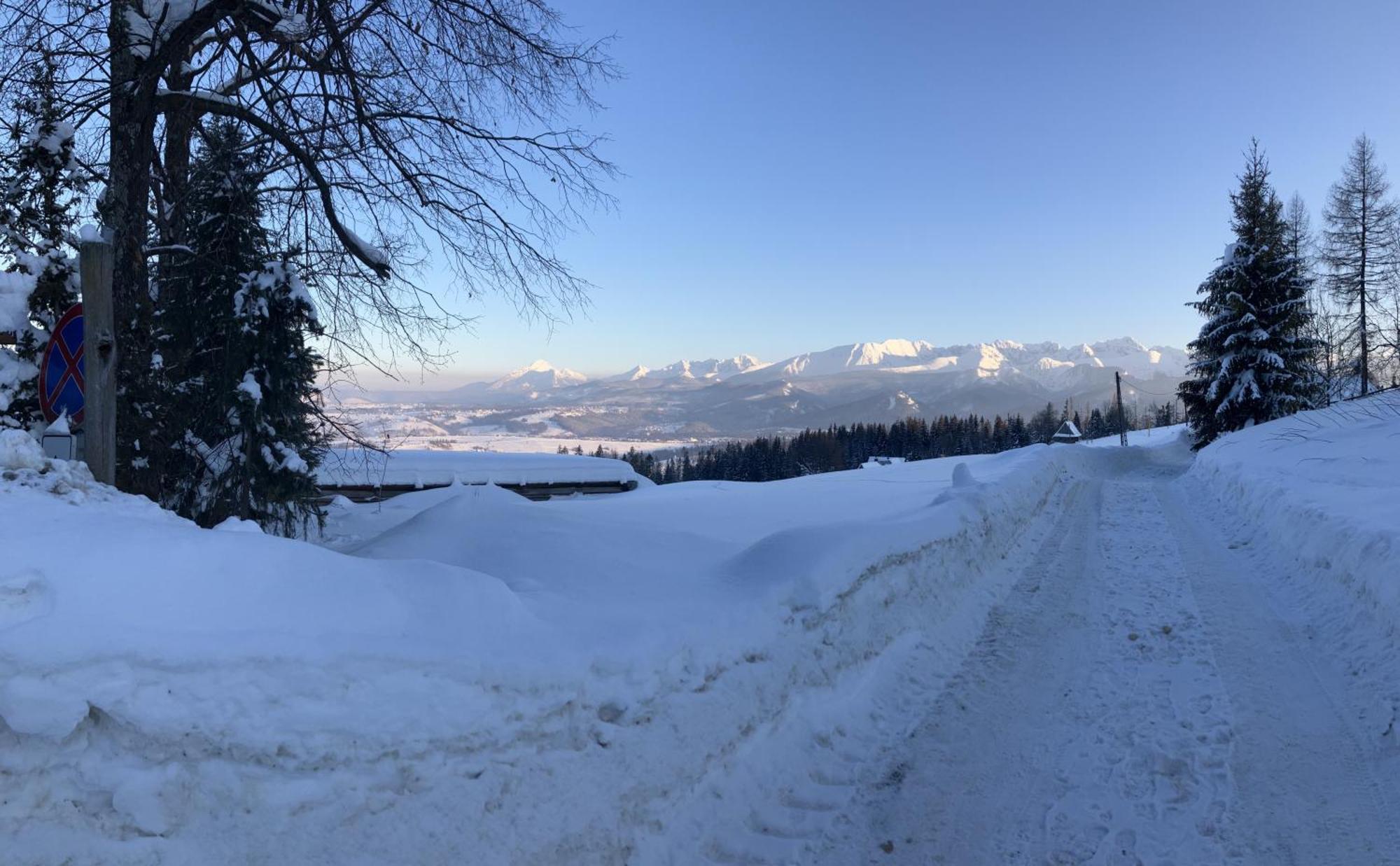 Mala Bawaria Hotel Zakopane Eksteriør billede
