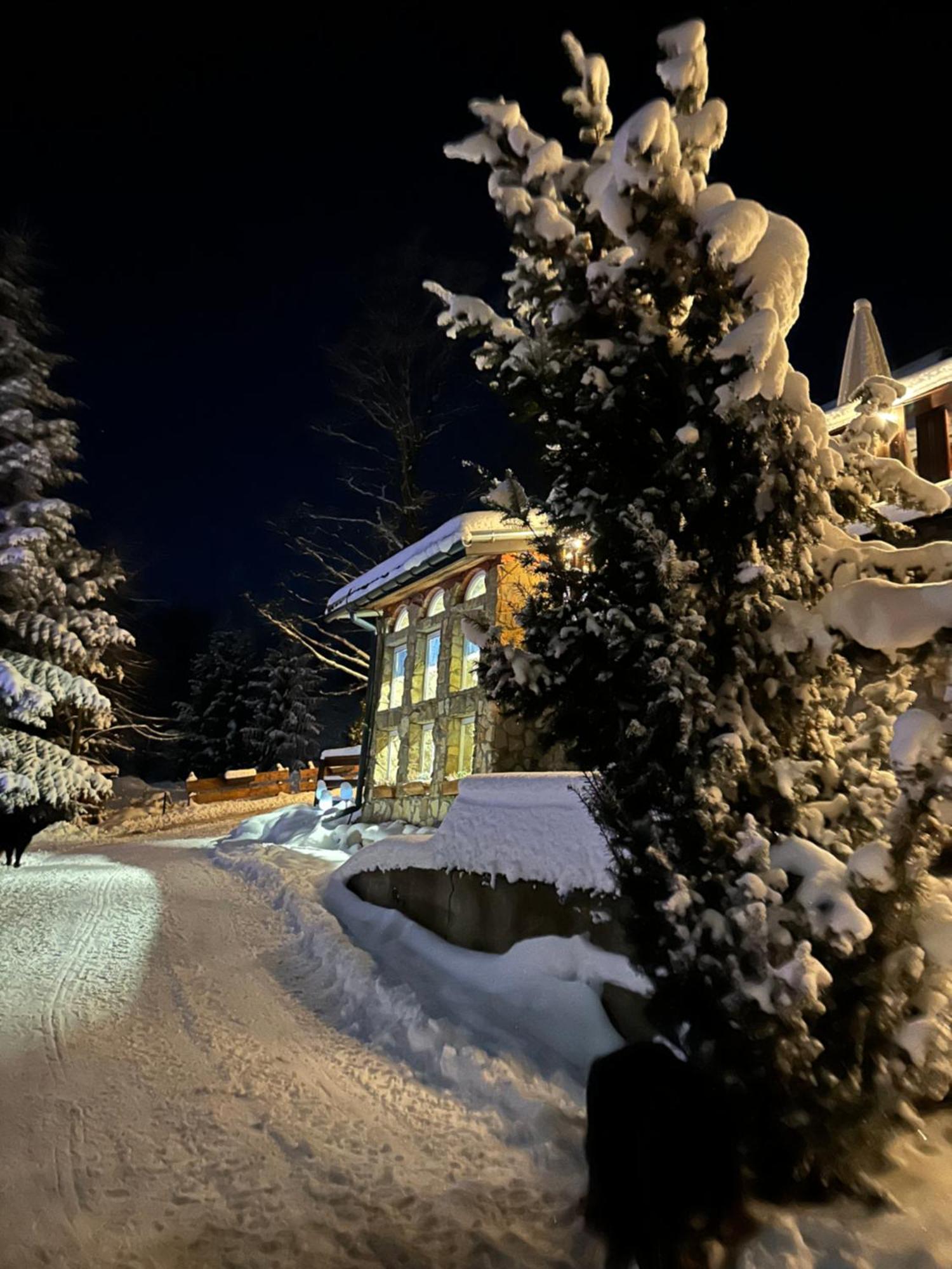Mala Bawaria Hotel Zakopane Eksteriør billede